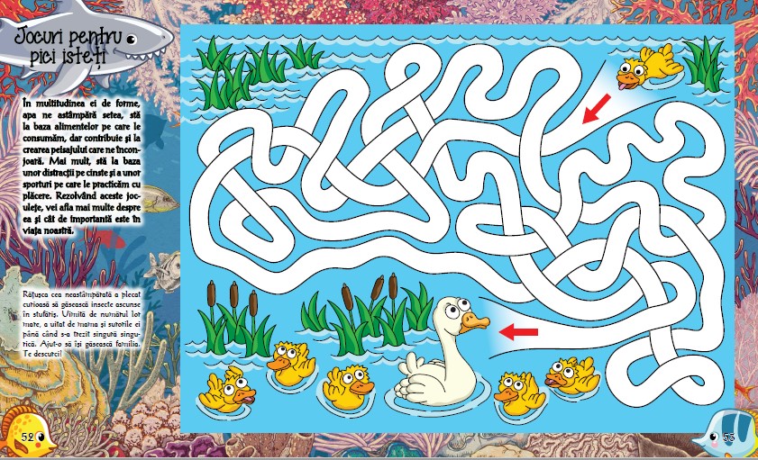 APELE PAMANTULUI - imagine 3